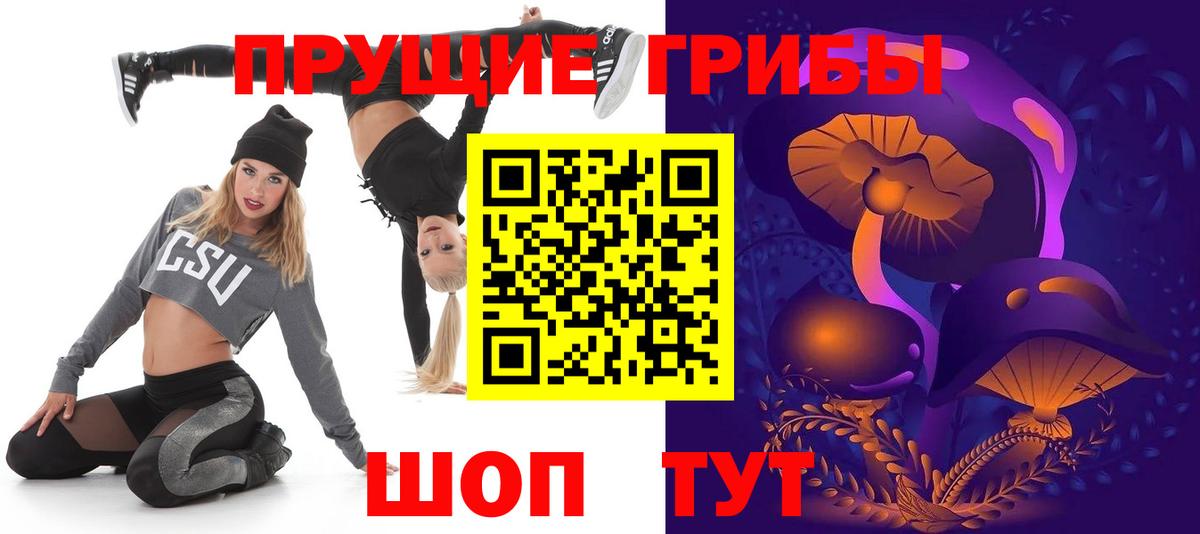 Псилоцибиновые грибы Psilocybine cubensis Томск